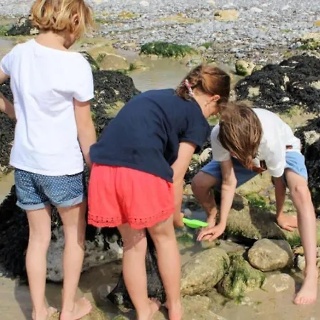 Bel Vue Centre-ville, Face Daire Dieppe